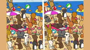 Metti alla prova la tua vista con questo test visivo: solo il 15% riesce a trovare tutte le 5...