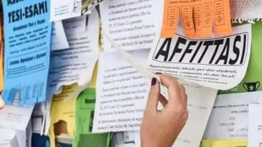 Affitti università