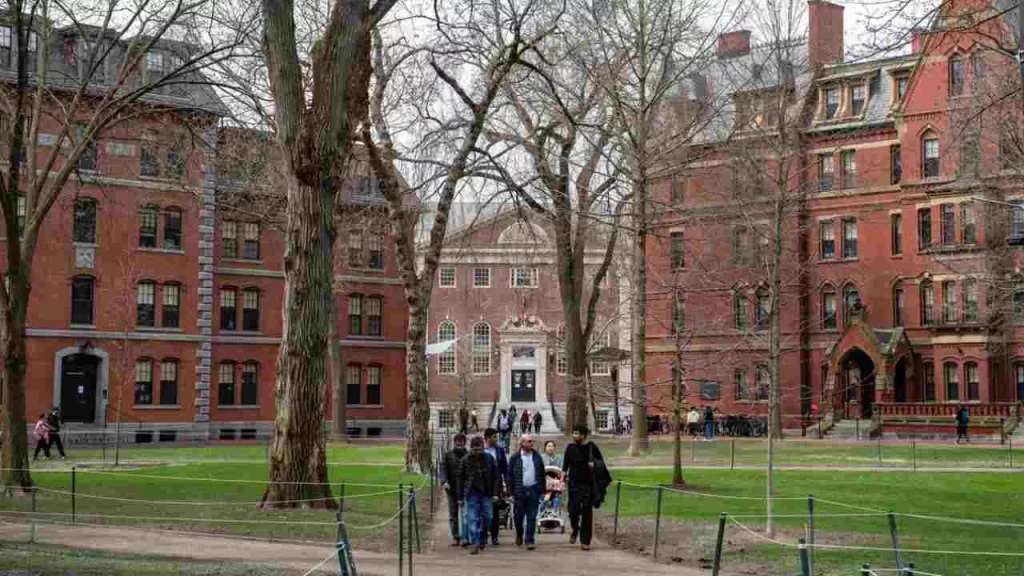 Harvard