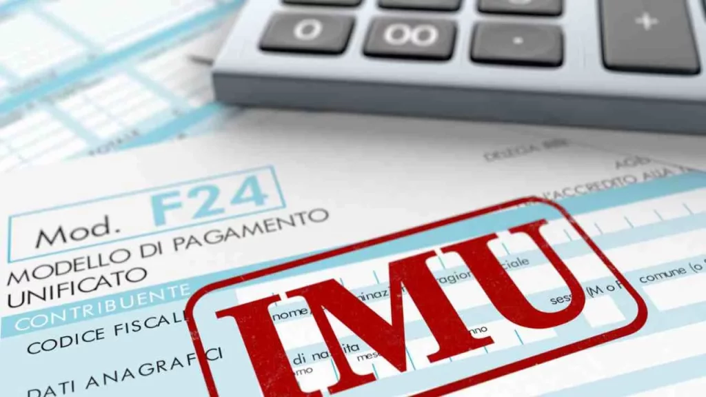 Imu 2025