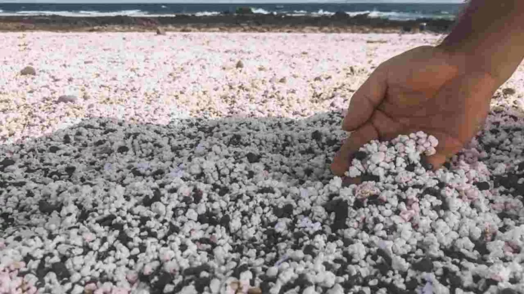 spiaggia di pop-corn