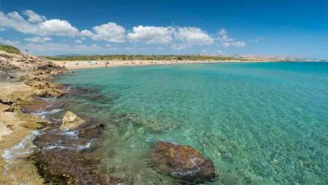 Scopri la spiaggia della Sicilia che sembra uscita da un dipinto: un angolo nascosto tra dune dorate...