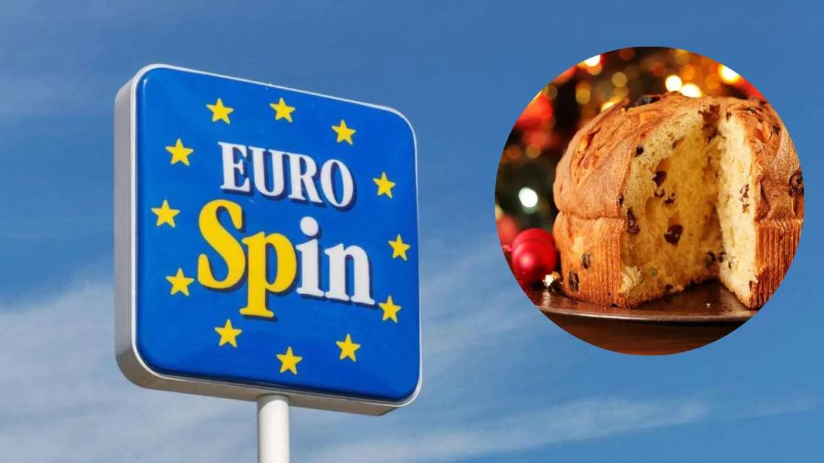 Panettone tagliato con canditi e uvetta, tipico dolce natalizio venduto da Eurospin e prodotto da un marchio italiano