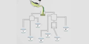 Test del Qi, in questo livello difficile riesci a indovinare quale tazza si riempie per prima? Solo...