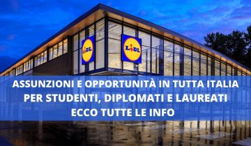 ASSUNZIONI LIDL