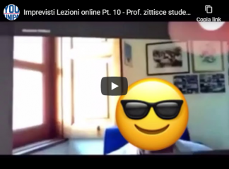 Imprevisti Lezioni online Pt. 10 - Prof. zittisce studente