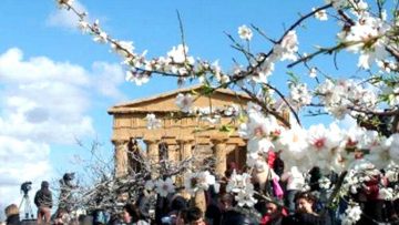 Sagra-del-Mandorlo-in-Fiore-Agrigento