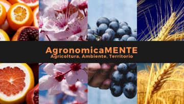 agronomicamente