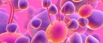 La ricerca mette a segno un gol importantissimo. I ricercatori dell'Ospedale Pediatrico Bambino Gesù...