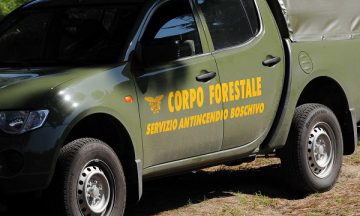 corpo forestale