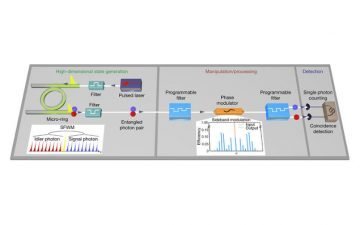 Studio sulla fotonica quantistica di ricercatori Unipa su Nature