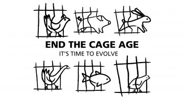 logo-end-of-cage-uk