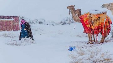 neve-deserto-19121 (1)