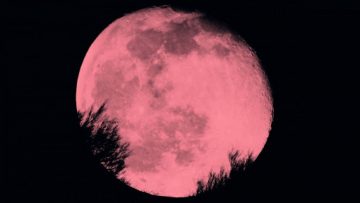 superluna rosa